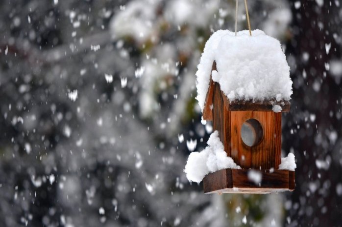 Наконец-то зима: синоптики озвучили прогноз погоды до конца недели со снегом и морозами - today.ua
