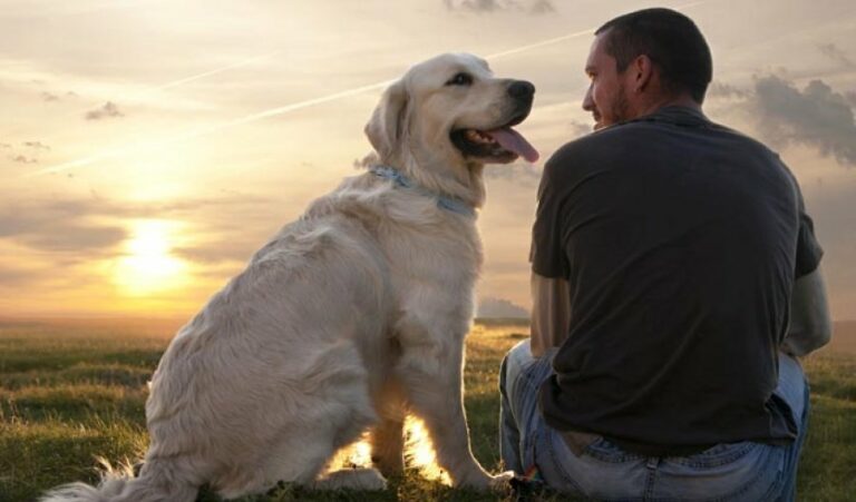 Почему собаки преданы своим хозяевам: ученые выяснили причину - today.ua