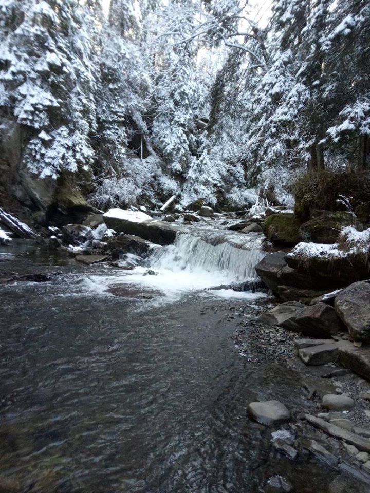 Снегопады и до 10 градусов мороза: появились фото первых дней зимы в Карпатах