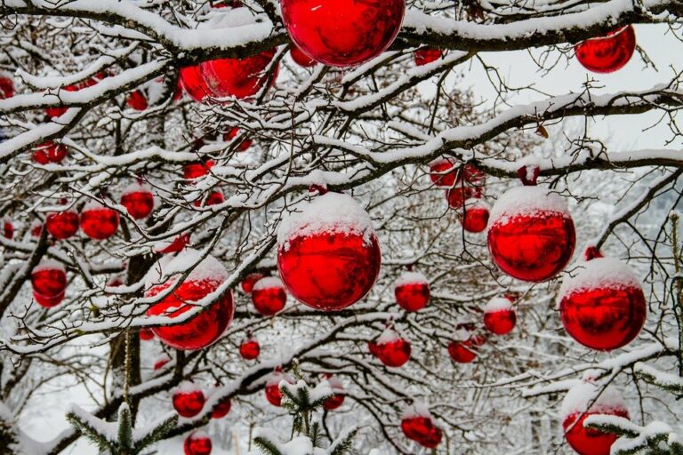 Україну засипле снігом, а потім різко потеплішає: синоптики здивували прогнозом на перші дні нового року - today.ua
