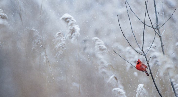 23 декабря: какой сегодня праздник, и как предсказать погоду  - today.ua