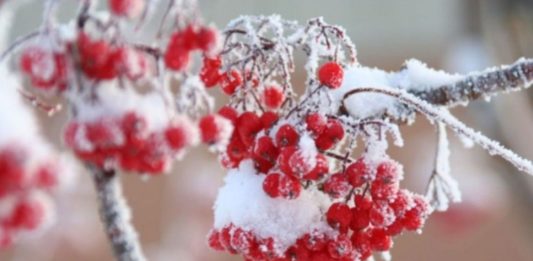 16 грудня: яке сьогодні свято і день ангела - today.ua