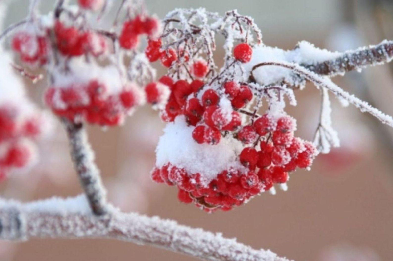 16 декабря: какой сегодня праздник и день ангела