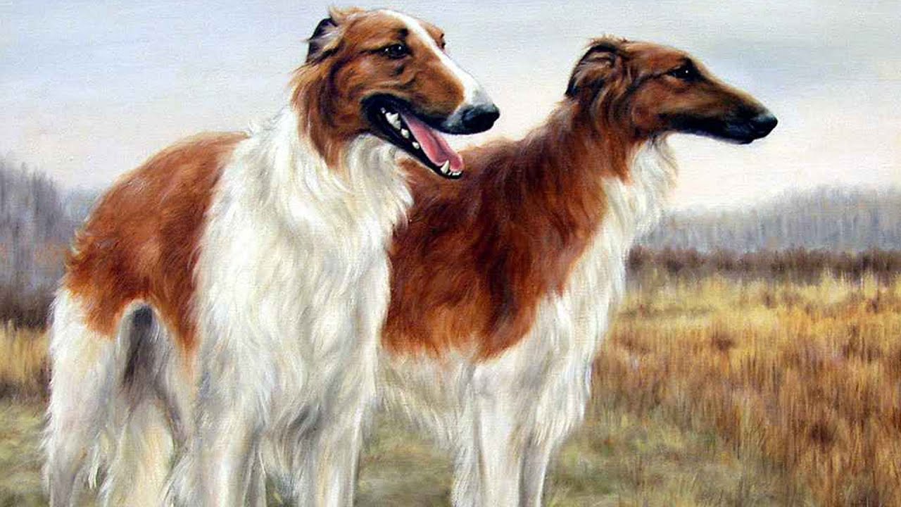 ТОП-5 пород собак, которых нельзя держать в квартире - today.ua