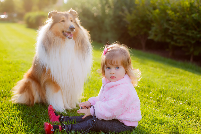 ТОП-5 самых добрых пород собак, которые любят детей