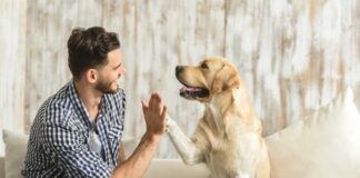 Как собаки понимают речь хозяев: ученые нашли объяснение - today.ua