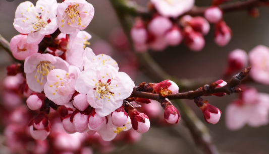 Гадания на День святой Екатерины: как узнать свою судьбу - today.ua