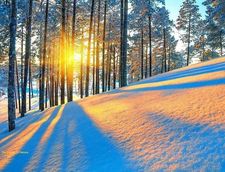 Прогноз погоды на декабрь: мороз и солнце — синоптики  - today.ua