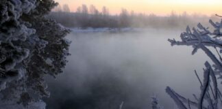 Погода в Україні на вихідні: синоптики обіцяють туман, дощі та сильний вітер - today.ua