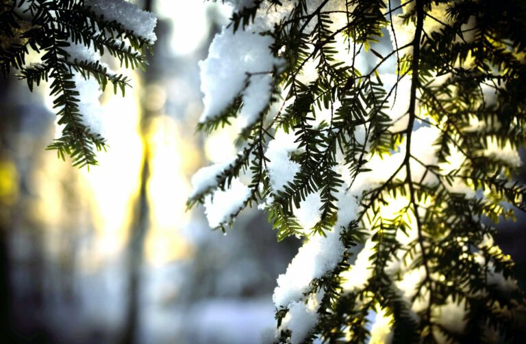 Аномальное потепление: Синоптики обещают до +10 - прогноз погоды до конца недели - today.ua