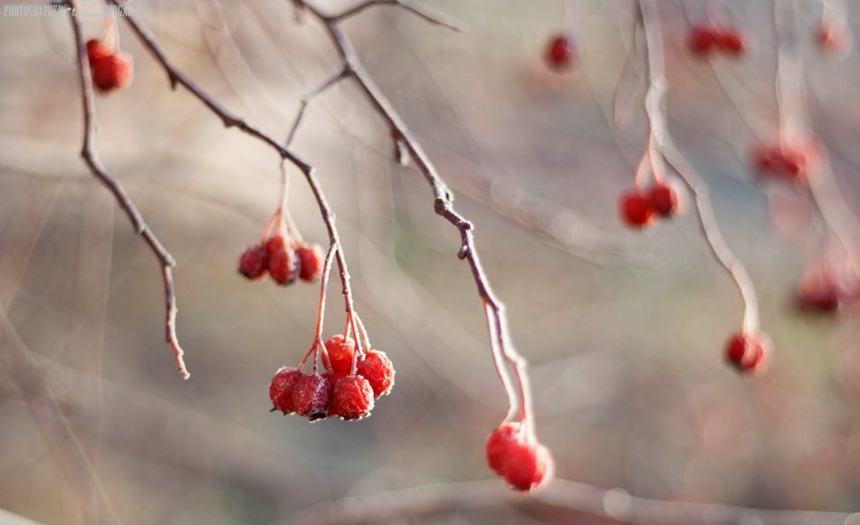 Погода на начало недели: синоптики удивили аномально теплым прогнозом