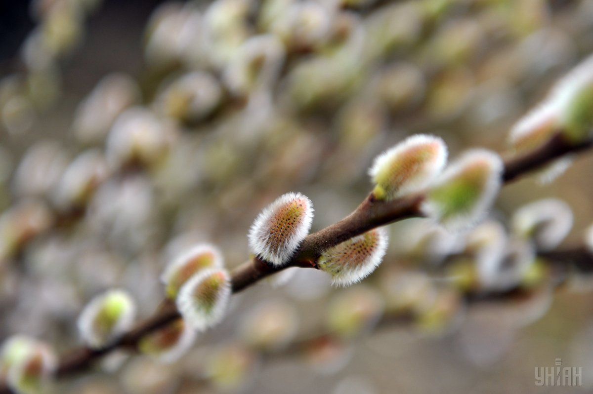 В марте - морозы, в мае - жара: известен прогноз синоптиков на весну