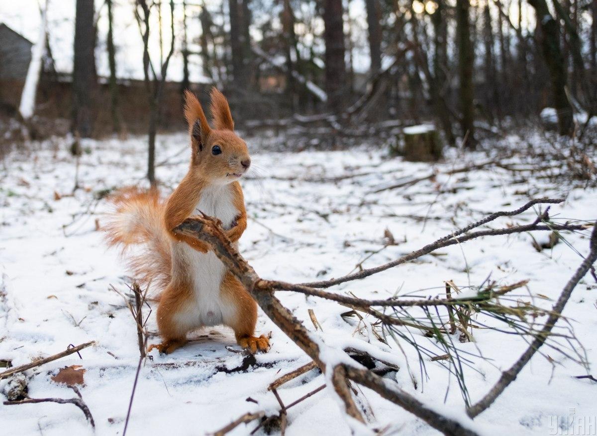 4 января: какой сегодня праздник и почему нельзя ходить босиком