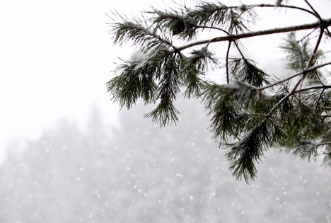 Погода різко зміниться: синоптики попередили про похолодання та снігопади