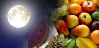 Місячна дієта на січень: як очистити організм і схуднути після новорічних свят - today.ua
