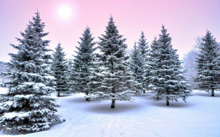 Снігопади, мороз і ожеледиця: синоптики оновили прогноз погоди до Різдва - today.ua
