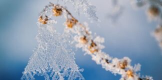 5 января: какой сегодня праздник и как предсказать погоду - today.ua