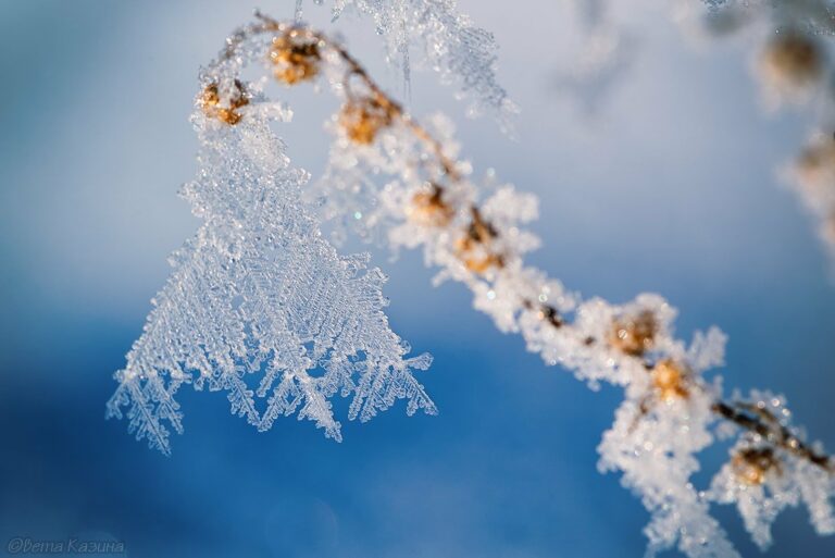 5 січня: яке сьогодні свято і як передбачити погоду - today.ua