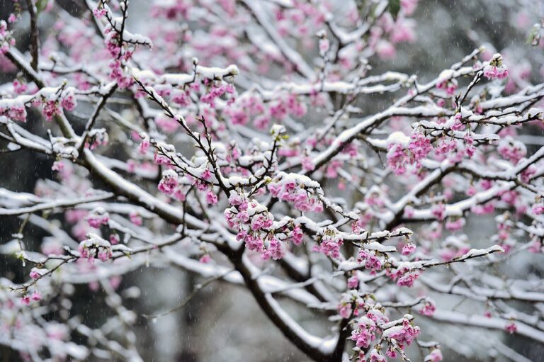 Весняне потепління: синоптики порадували прогнозом погоди на вихідні - today.ua