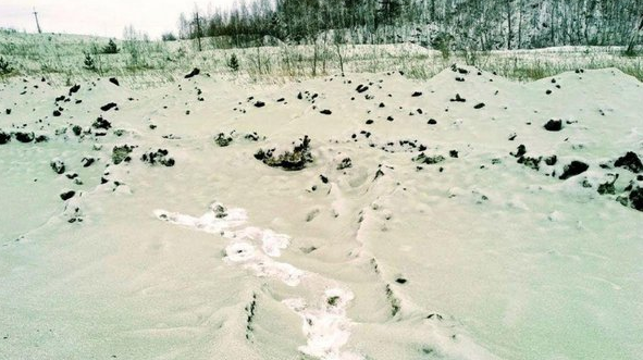 “Космічний пил“ або “фарба“: в Росії випав зелений сніг - today.ua