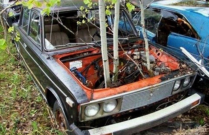 В Канаде нашли «кладбище» автомобилей Lada - today.ua