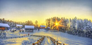 Прогноз погоди на зиму: синоптик розповів, які випробування готує природа українцям - today.ua