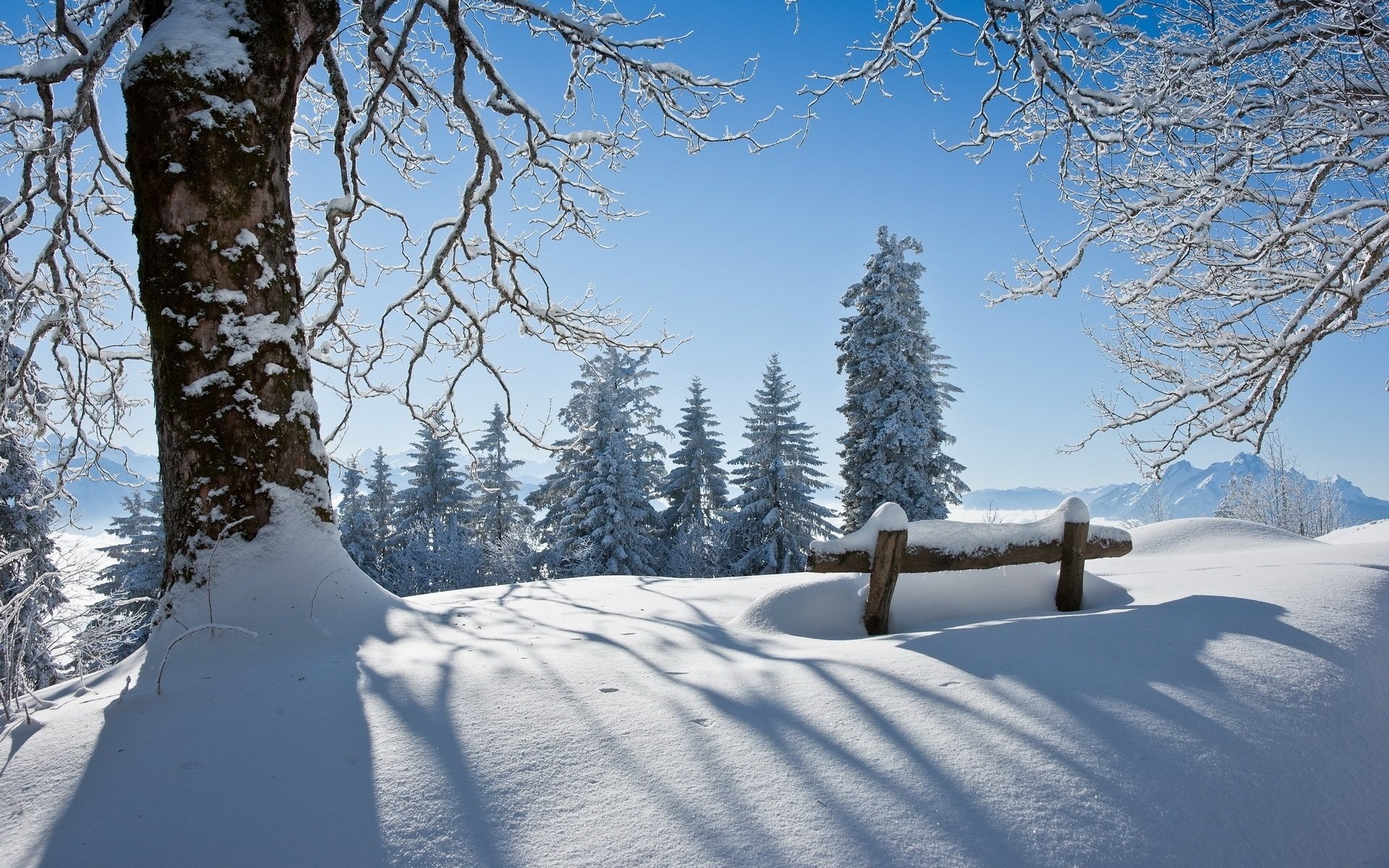 7 февраля: какой сегодня день и почему нужно быть поаккуратнее со словами