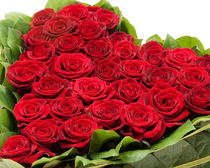 «Букетный» этикет: какие цветы подарить на 8 Марта маме, жене и коллегам