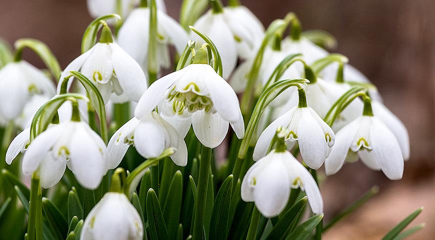 28 февраля: какой сегодня праздник и что нужно делать в этот день