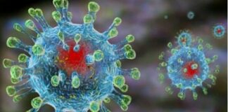 Коронавирус и прививки: что может спасти от страшной болезни - today.ua