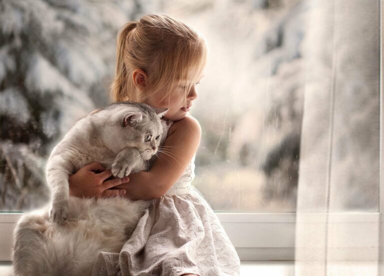 ТОП-5 лучших пород кошек для детей - today.ua