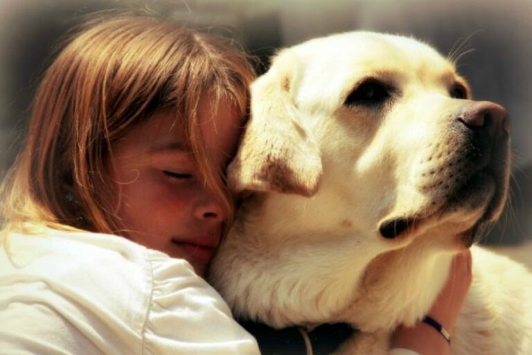 ТОП-3 породи собак, які врятують людину від депресії - today.ua