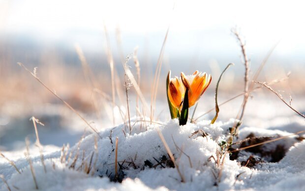 Синоптики рассказали о погоде на март: подробный прогноз на ближайший месяц - today.ua