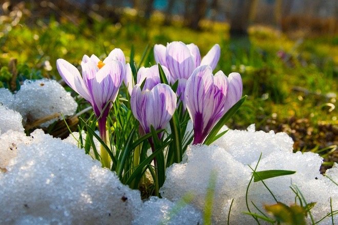 Весняне потепління: синоптики розповіли, коли закінчаться дощі і холоди  - today.ua