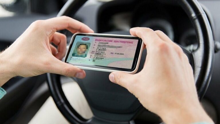 Полиция объяснила, как онлайн восстановить утраченное водительское удостоверение - today.ua