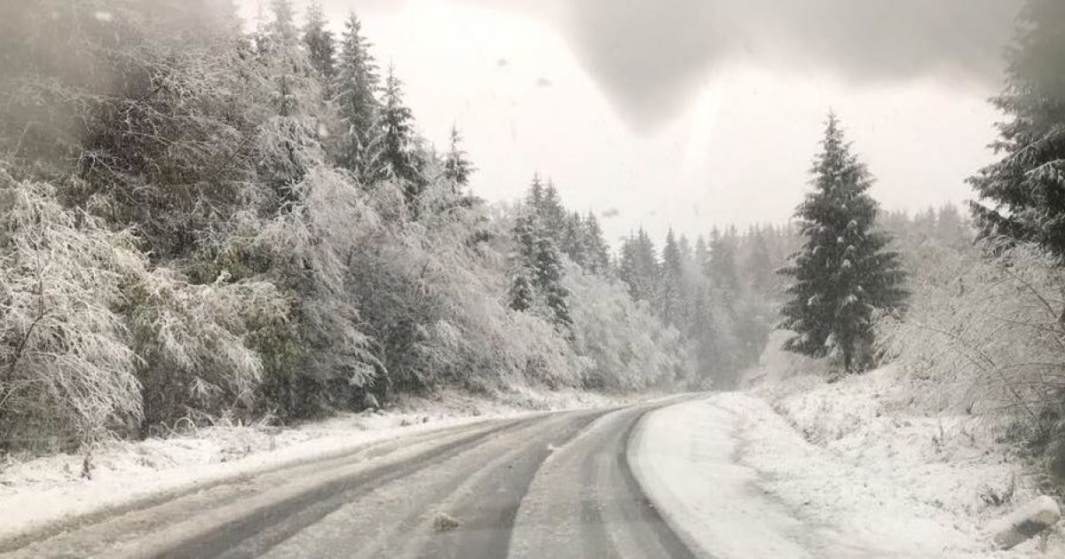 Украину завалило снегом: синоптики назвали регионы, которые остались без света