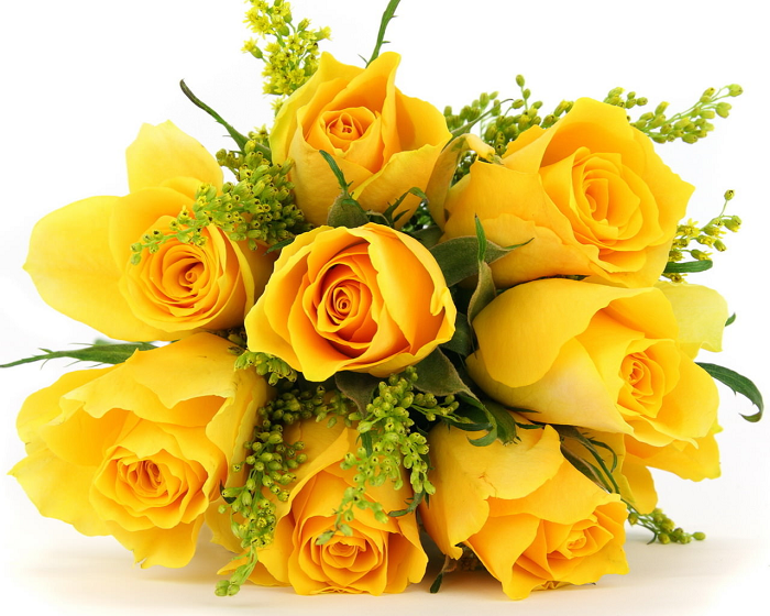 Шесть запретов для букетов: какие цветы нельзя дарить женщинам на 8 Марта