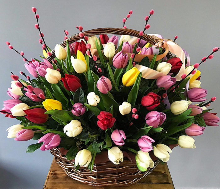 Советы эзотериков: какие тюльпаны расскажут о любви, а какие дарить опасно