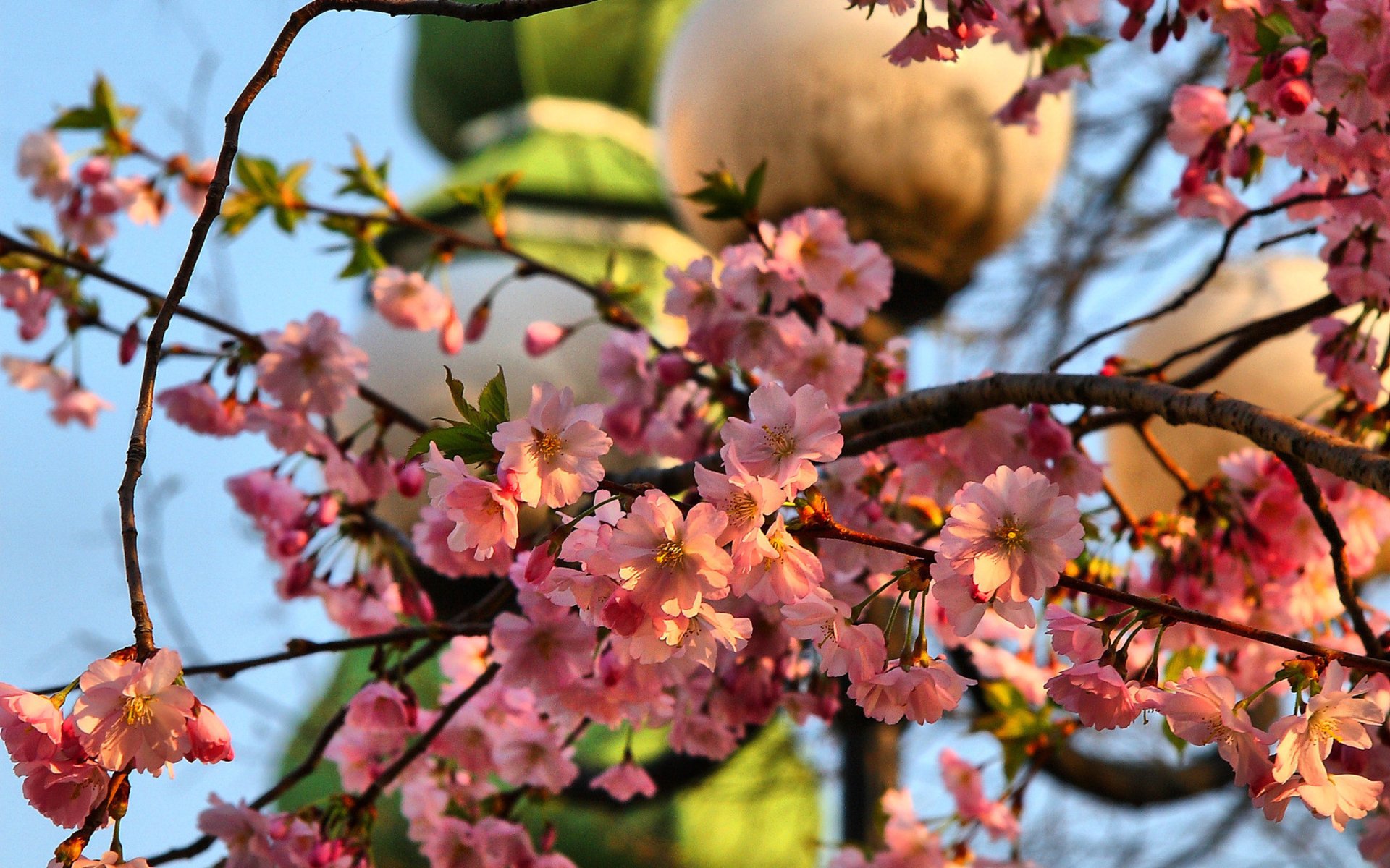 26 марта: какой сегодня праздник и что категорически запрещено делать