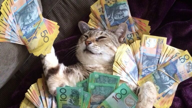 ТОП-3 породы котов, которые притягивают в дом деньги - today.ua