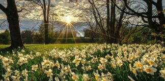 День весняного рівнодення 20 березня: як відзначати свято і що не можна робити  - today.ua