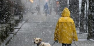 Погода в конце марта резко испортится: где синоптики прогнозируют морозы и дожди - today.ua