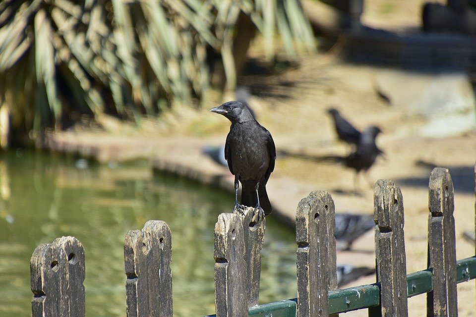 4 марта: какой сегодня день и какие блюда принято готовить