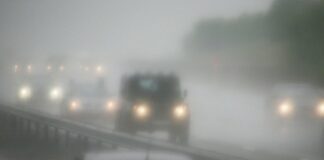 Тумани вранці: як не потрапити у ДТП та спокійно доїхати на роботу - today.ua