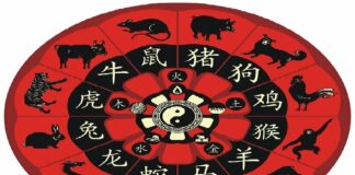 Китайский гороскоп на апрель: 3 знака Зодиака, которым придется нелегко - today.ua