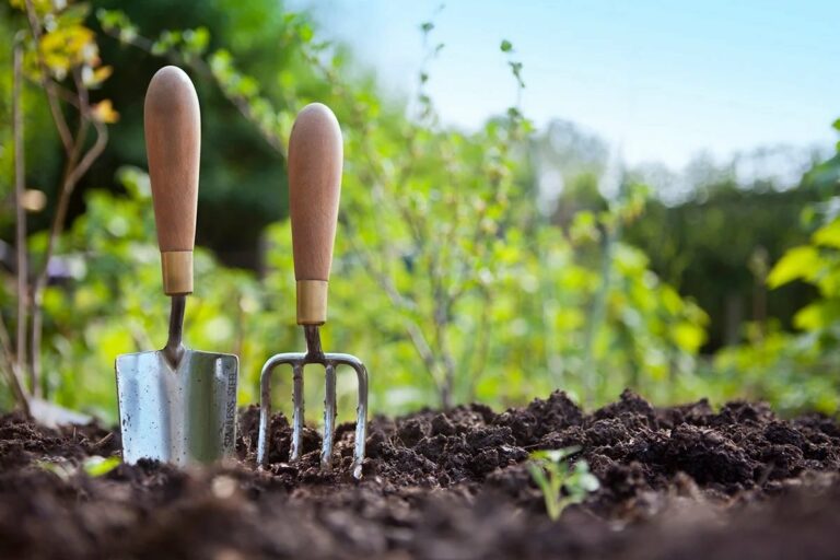 Посевной календарь на май 2020: когда высаживать овощи, чтобы получить обильный урожай - today.ua