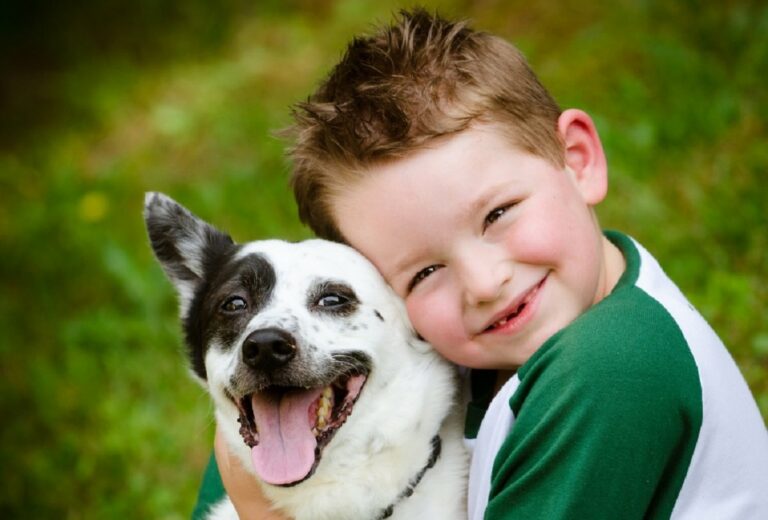 ТОП-5 маленьких пород собак, не требующих ухода: идеальный выбор для семей с детьми - today.ua