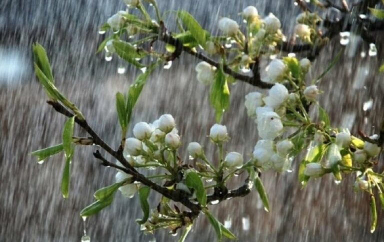 Погода на початок травня 2020: зливи і грози обрушаться на ряд регіонів України - today.ua