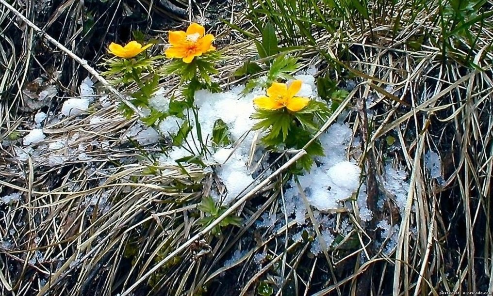 В Україні знову вдарять морози: синоптики попереджають про різке погіршення погоди - today.ua