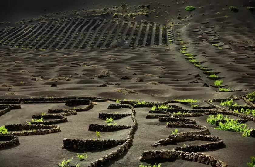 Тест на уважність: на фото замаскувалася дівчина, спробуйте знайти її за 1 хвилину